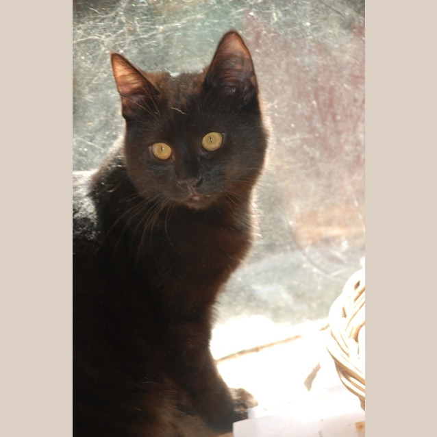 Photo of Tennyson~Best Friend For Life