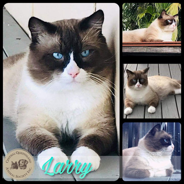 Photo of Larry
