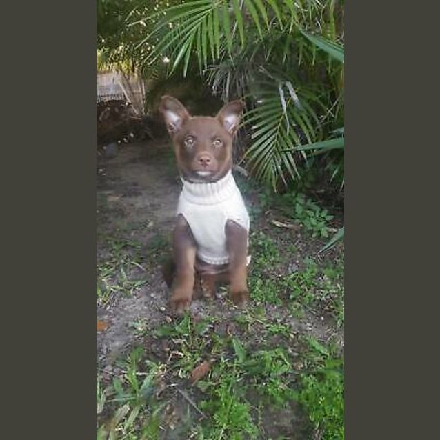 Photo of Coco