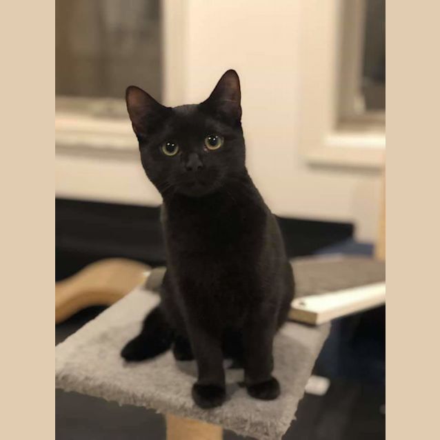 Photo of Quinn 