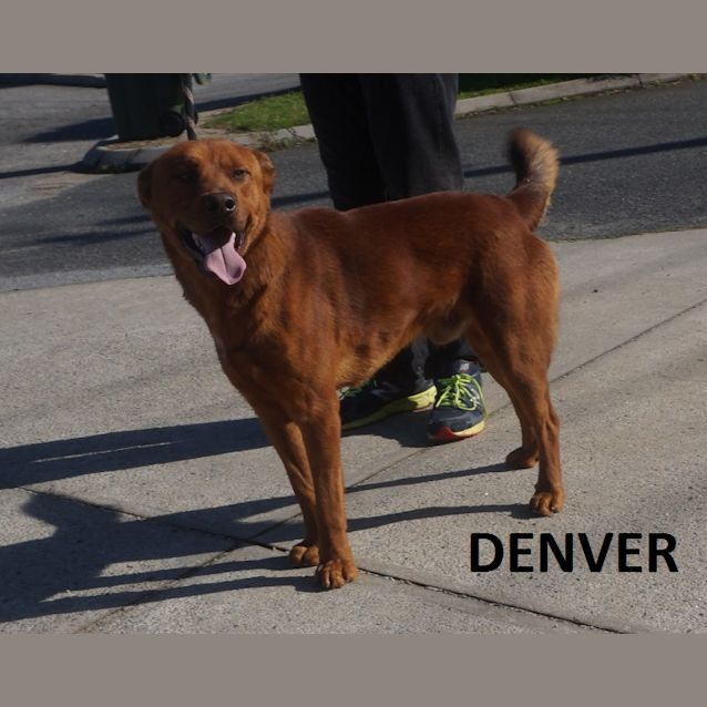 Photo of Denver