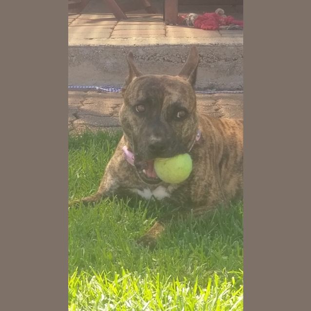 Photo of **On Trial** Lulu