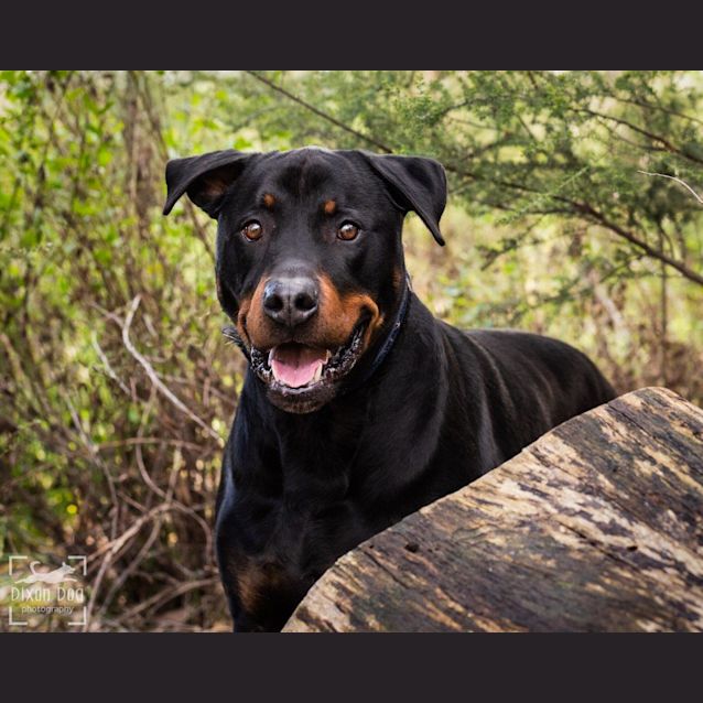 Photo of Vadar  