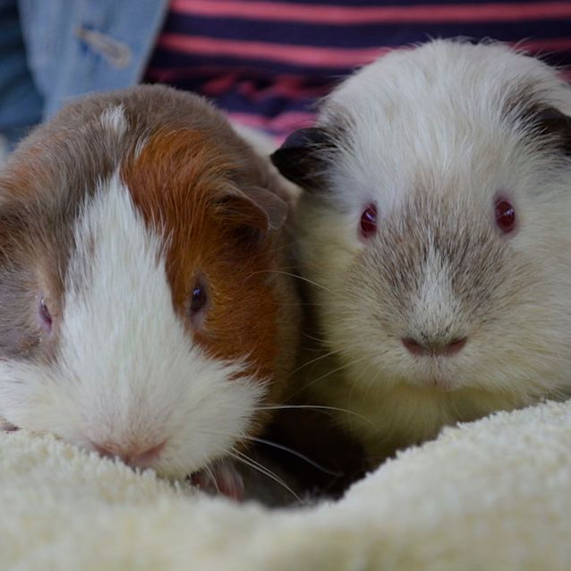 Photo of Buddy And Joseph