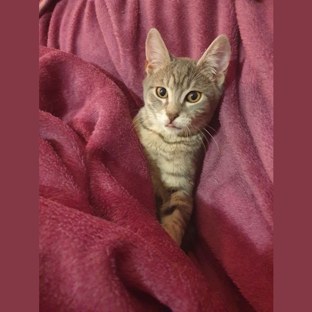 Photo of Benny 