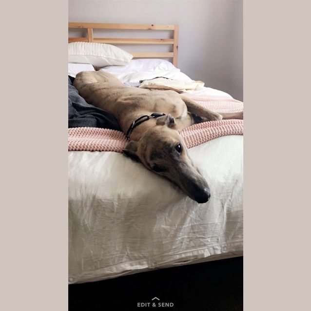 Photo of Tex