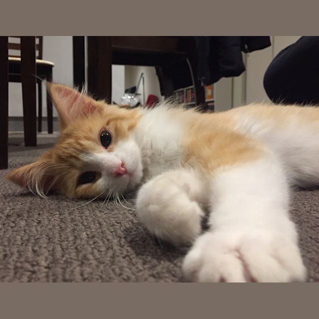 Photo of Wilma 