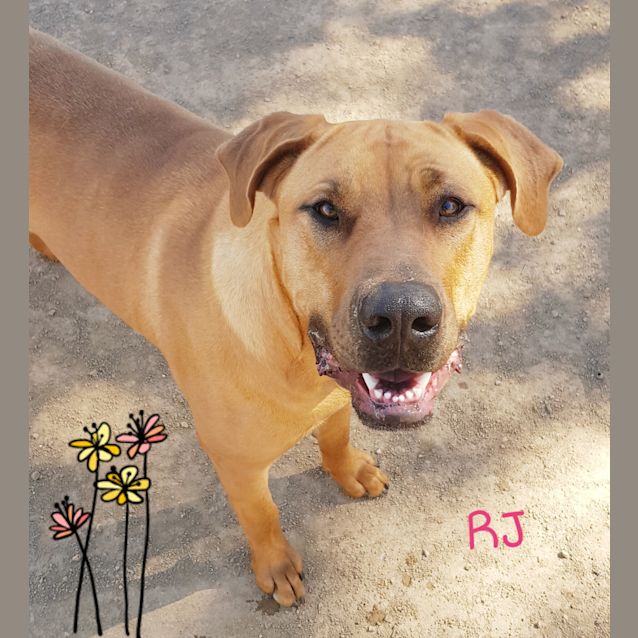 Photo of Ruby Jane (2202019)