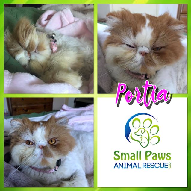 Photo of Portia