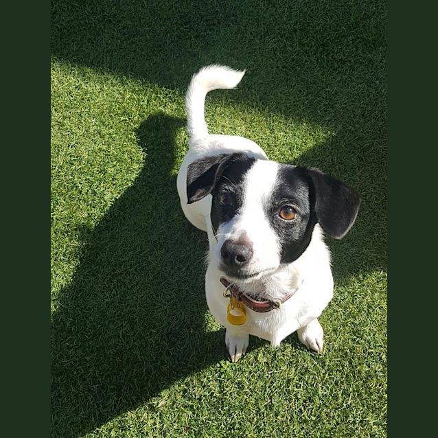 Photo of Bundie D0077