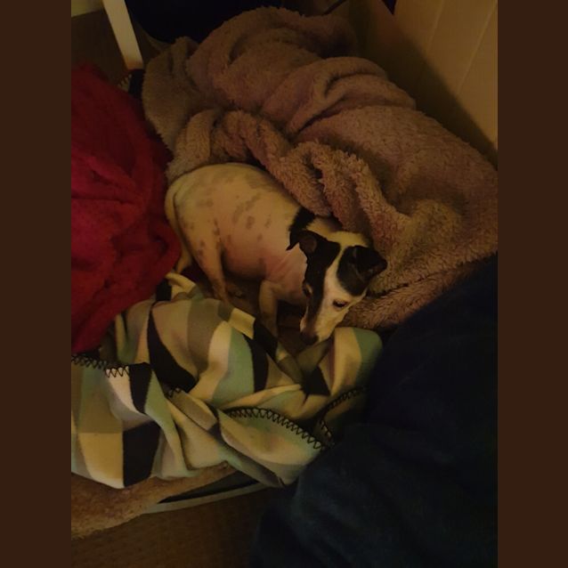 Photo of Manny ❣️