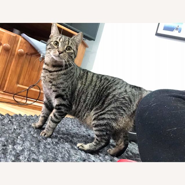 Photo of Percy