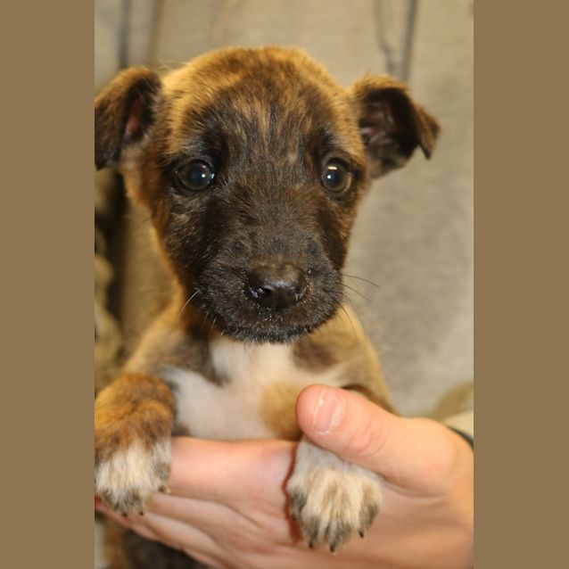 Photo of Cook