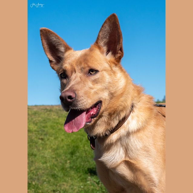 Photo of Thumper