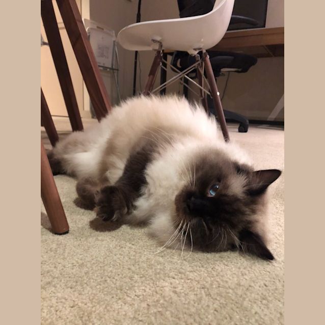 Photo of Jack