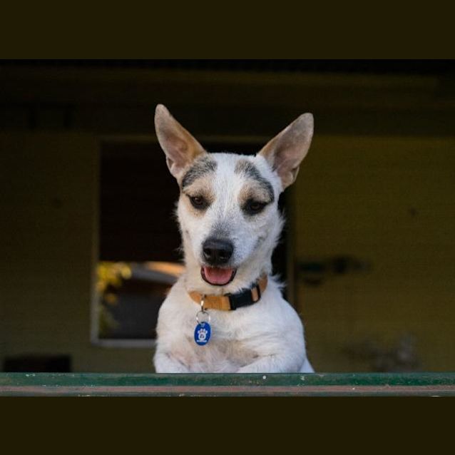 Photo of Zeiko