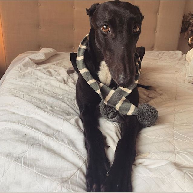 Photo of Lizzy.   Melbourne