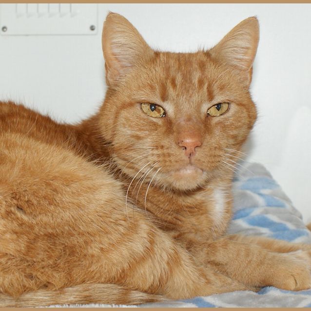 Photo of Charlie Sua004208