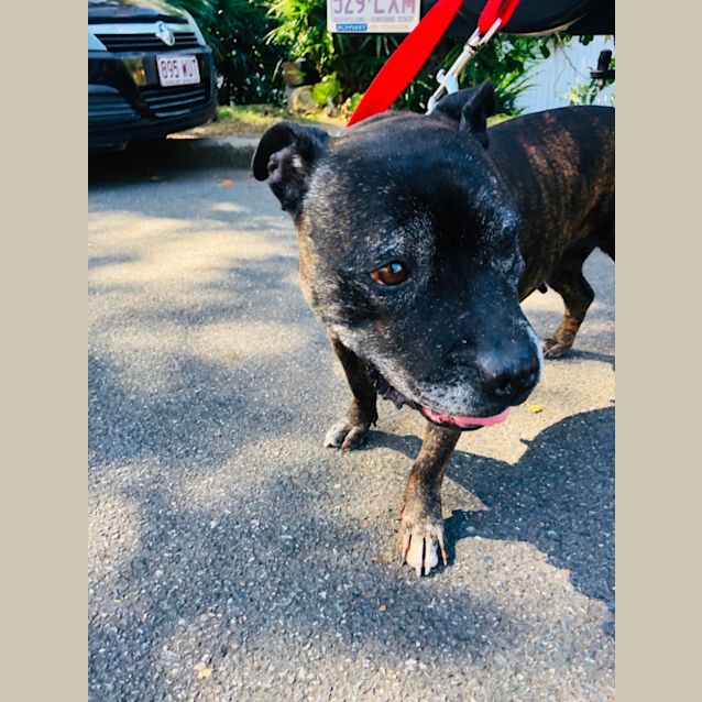 Photo of Shelby ❣️❣️❣️