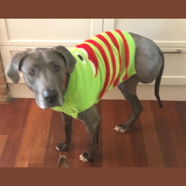 Photo of Wendy