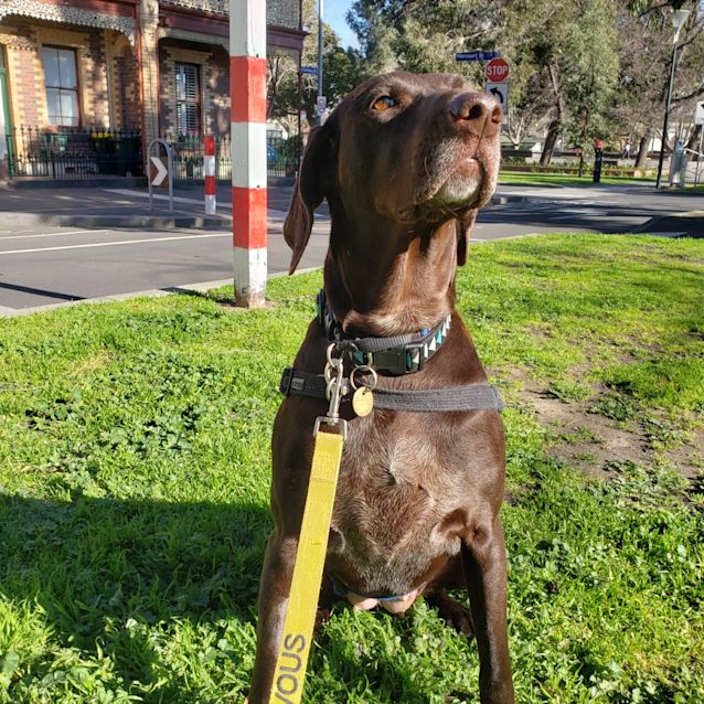 Photo of Bella