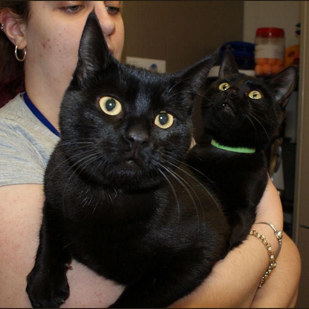 Photo of Frankie & Jamaica