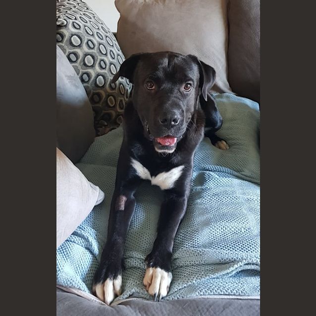 Photo of Bentley