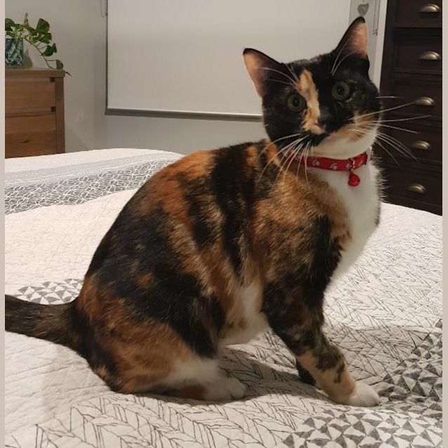 Photo of Annie