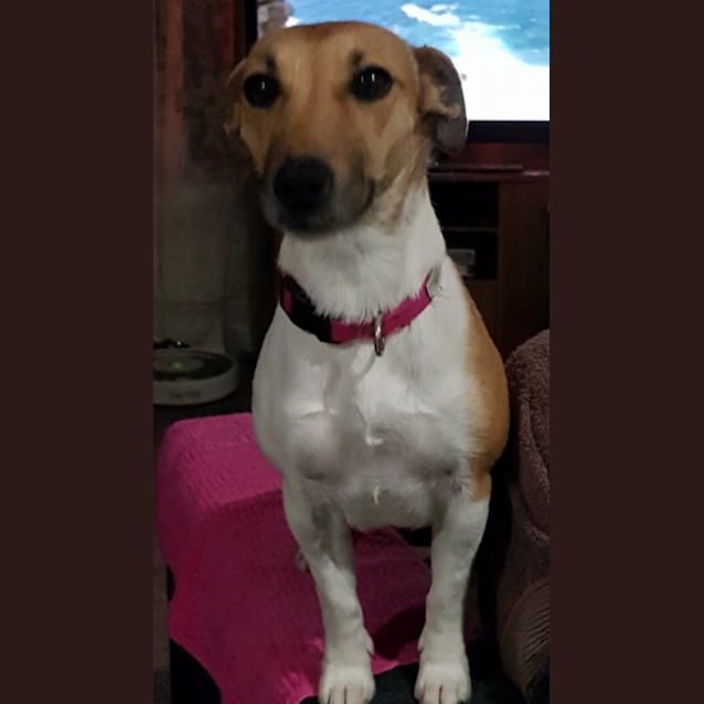 Photo of Molly Anne ❤