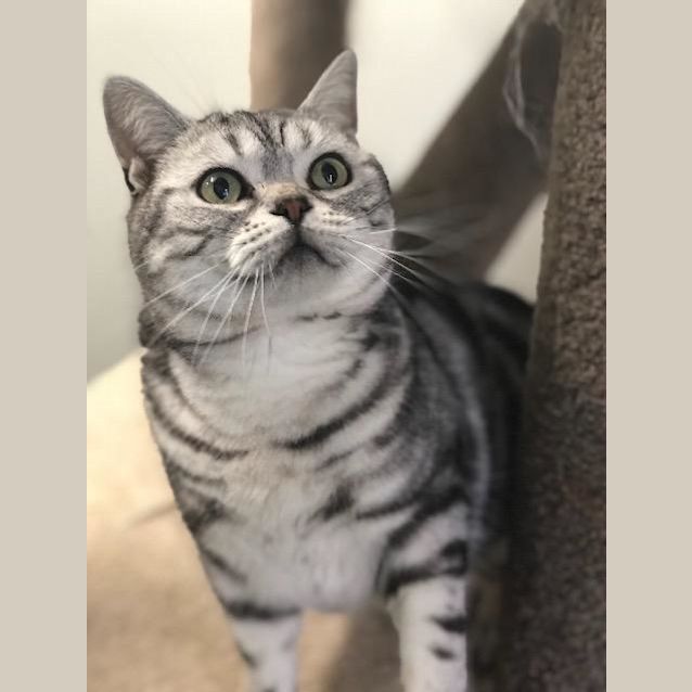 Photo of Sammy