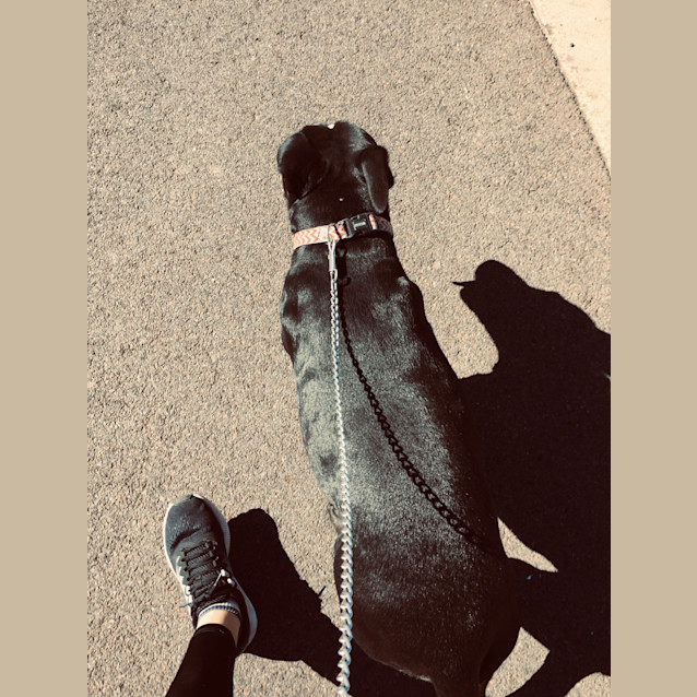 Photo of Otto 