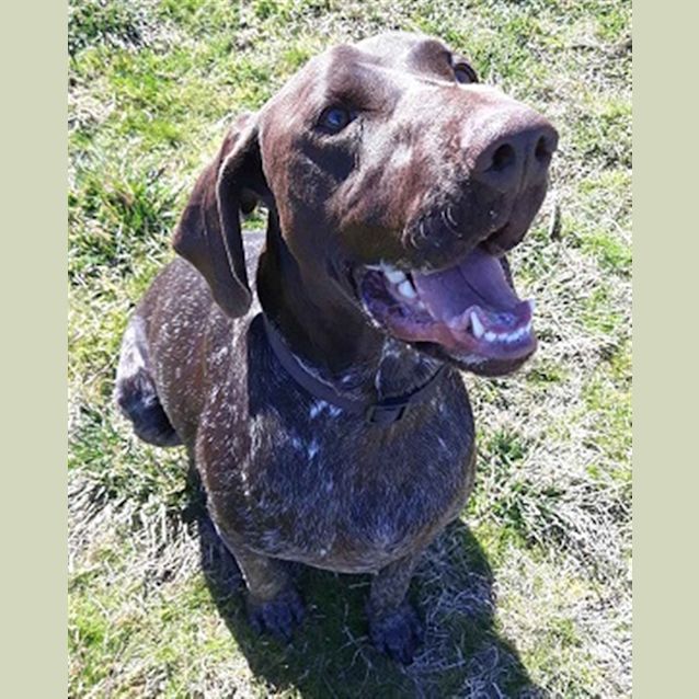 Photo of Bruce