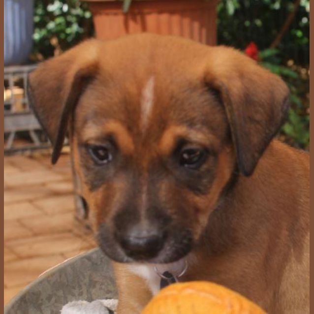 Photo of Levi