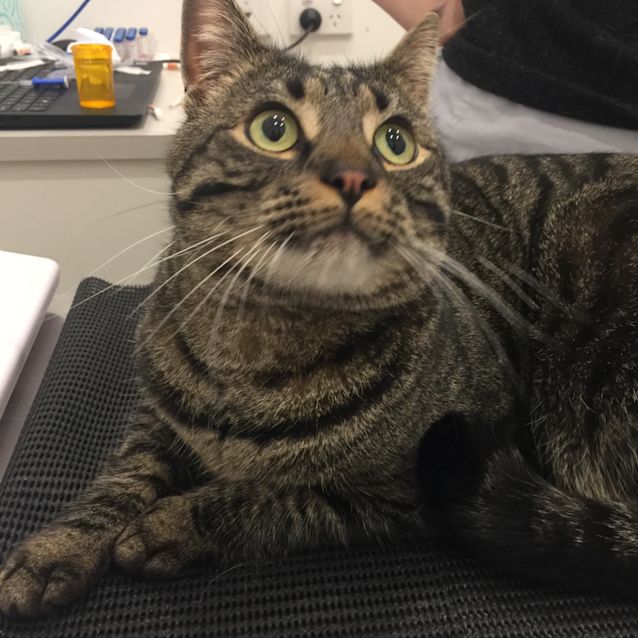 Photo of Grover   Meet Me At Neko Hq Preston 