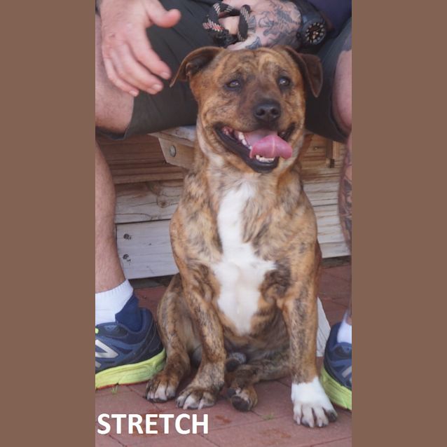 Photo of Stretch