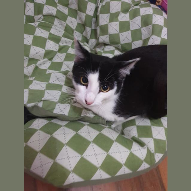 Photo of Hamish