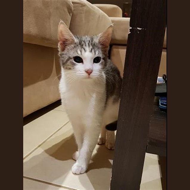 Photo of Astro