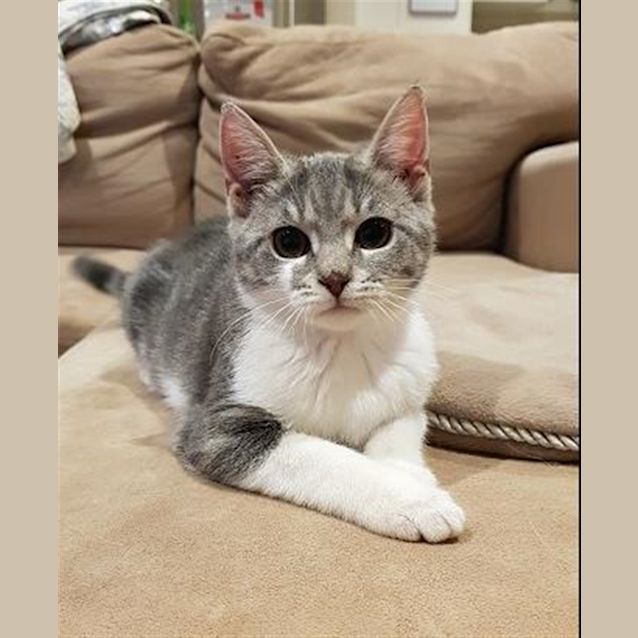 Photo of Luna