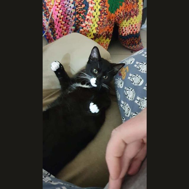 Photo of Vanjie & Brooklyn