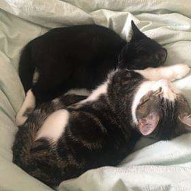 Photo of Bella & Max