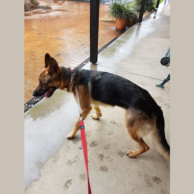 Photo of Yumi   Meet And Greet Organised