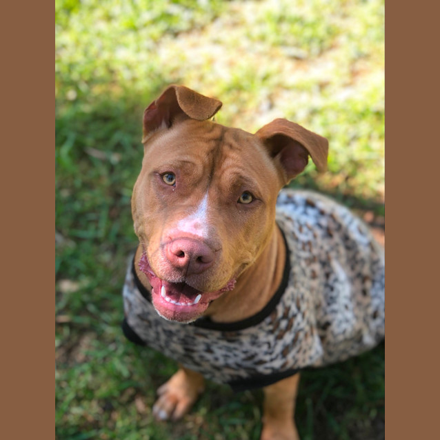 Photo of #1379 Tilly