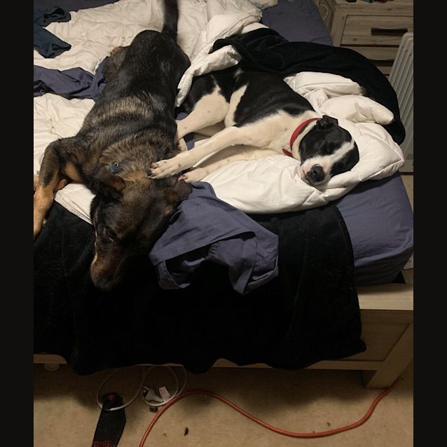 Photo of Themba Db491