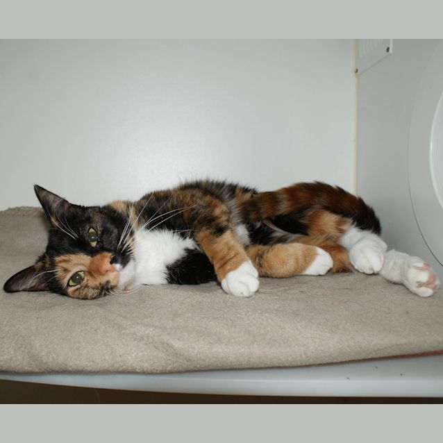 Photo of Rosie Sua004071
