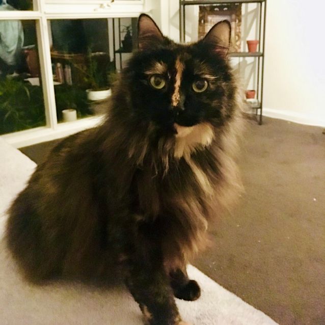 Photo of Zara