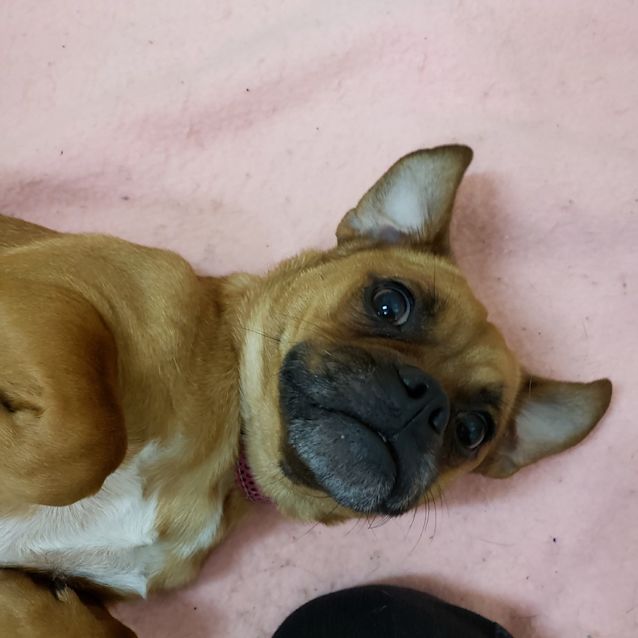 Photo of Molly