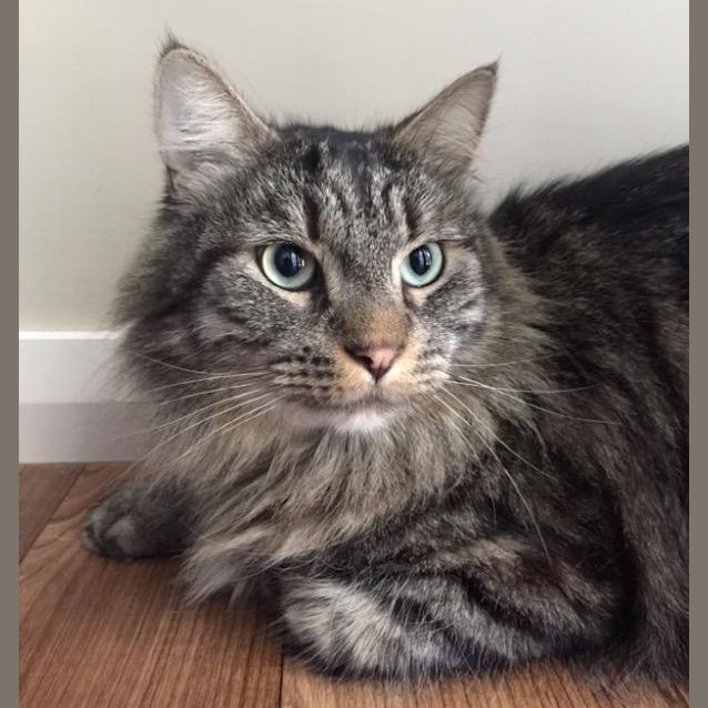 Photo of Buddy