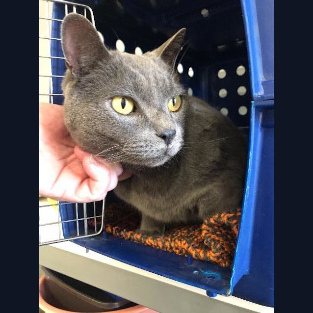 Photo of Hugo