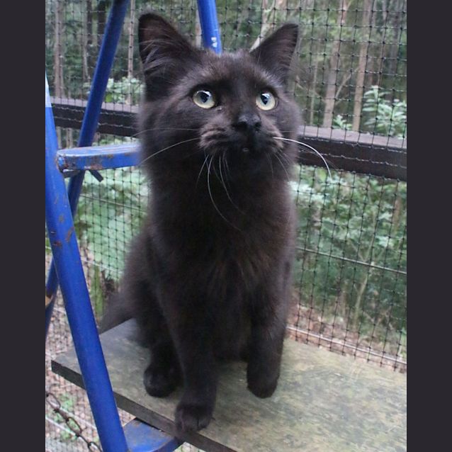 Photo of Wickett 