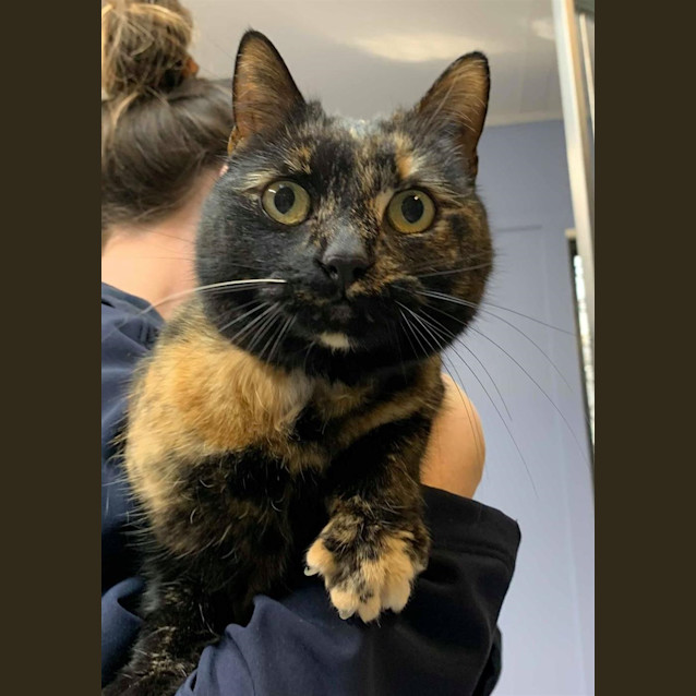 Photo of Kit Kat